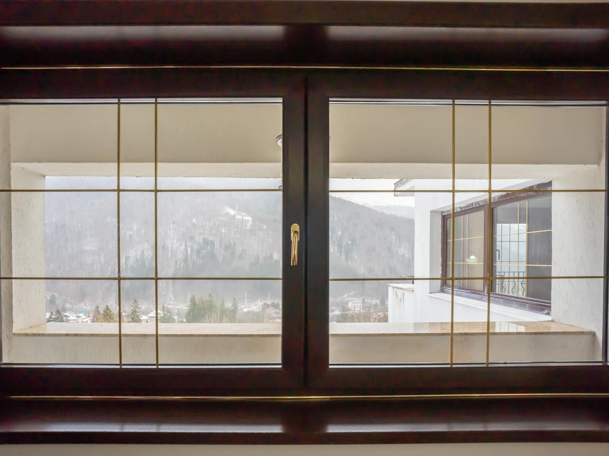 Gazde/Camere de închiriat Pensiunea Tv Condor Sinaia